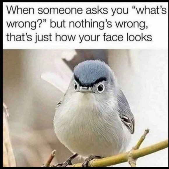 Versona Modern Distressed Jeans in Medium Wash, Size 10 - Picture 16 of 17